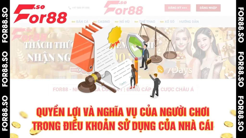 Điều khoản sử dụng 01