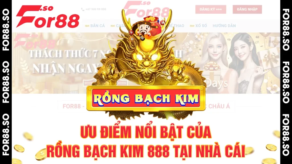 Rồng Bạch Kim 888 01